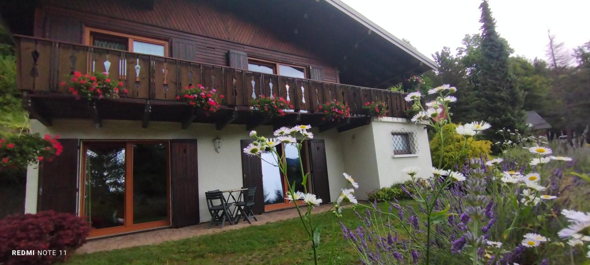 Chalet Au Bois Des Ecureuils Classe Trois Etoiles. Muhlbach-sur-Munster エクステリア 写真