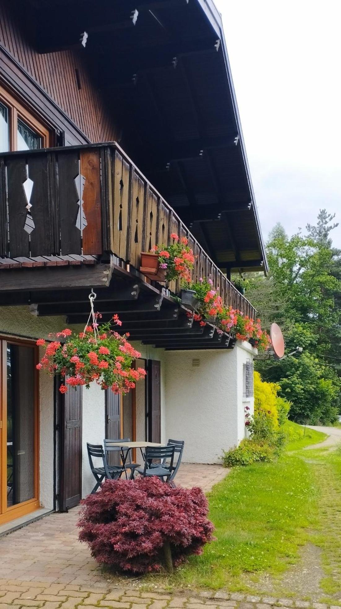 Chalet Au Bois Des Ecureuils Classe Trois Etoiles. Muhlbach-sur-Munster エクステリア 写真