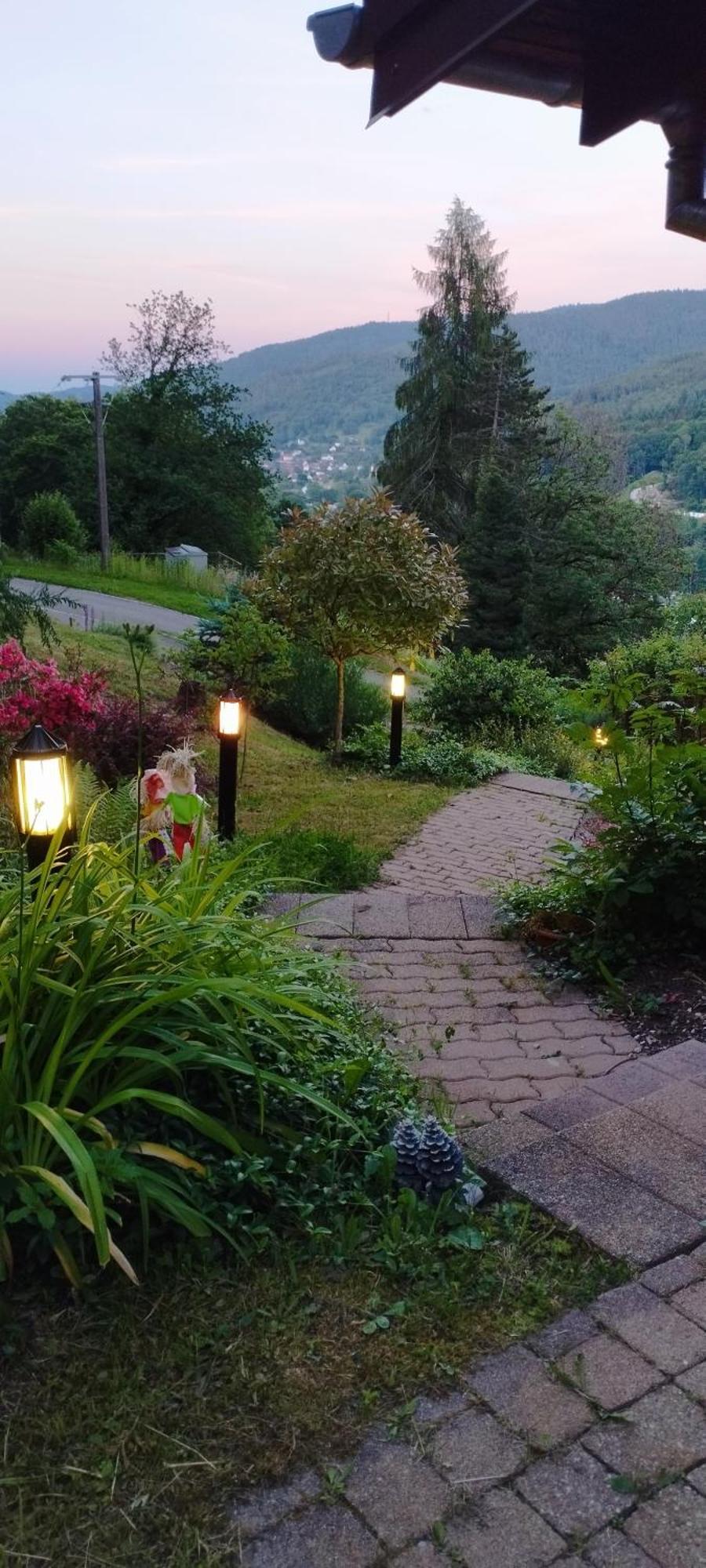 Chalet Au Bois Des Ecureuils Classe Trois Etoiles. Muhlbach-sur-Munster エクステリア 写真