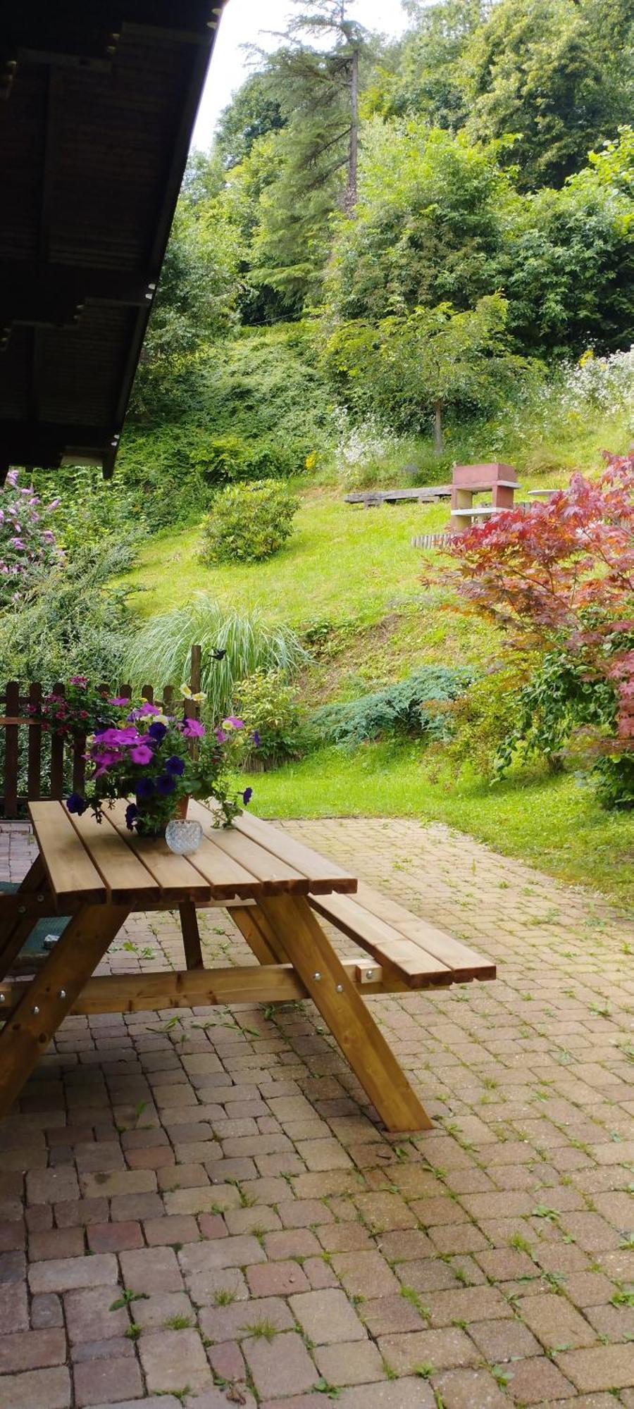Chalet Au Bois Des Ecureuils Classe Trois Etoiles. Muhlbach-sur-Munster エクステリア 写真